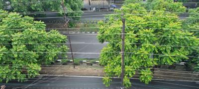 Image of 850 Sq.ft 2 BHK Apartment / Flat for sale in Goel Apartment, Indira Nagar, Lucknow for Rs. 5000000