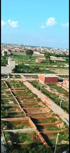 Residential Plot