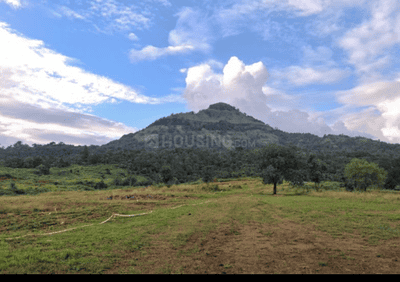 Residential Plot
