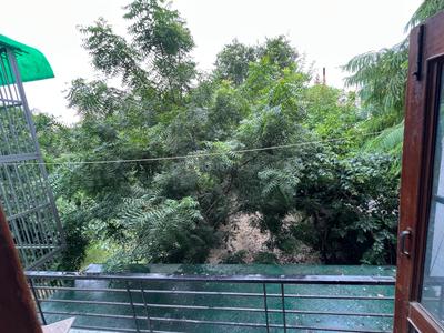 Image of 1206 Sq.ft 2 BHK Independent House for rent in Sector 50, Noida for Rs. 25000