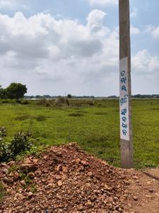 Image of 2000 Sq.ft Residential Plot / Land for sale in Dhaua, Bhubaneswar for Rs. 3500000