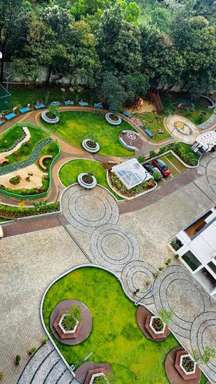 Disha Pursuit Of Sunshine Main Image 1