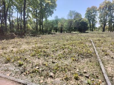 Image of 1494 Sq.ft Residential Plot / Land for sale in Saundhon Wali, Dehradun for Rs. 4500000