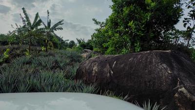 Image of 48563 Sq.ft Residential Plot / Land for sale in Mathicode, Kanyakumari for Rs. 180000000