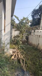 Balcony Image of 4000 Sq.ft 5 BHK Independent House for sale in Gomti Nagar Lucknow for Rs. 25000000
