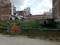 Block C, Sector 81 Plot View 2