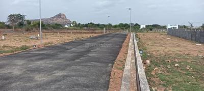 Mattuthavani Plot View 2