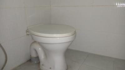 Bathroom Image of 650 Sq.ft 1 BHK Apartment / Flat for sale in Gemini Grand Bay, Manjari Budruk Pune for Rs. 4650000