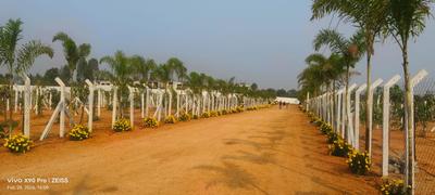 Shadnagar open plots hmda Plot View 1
