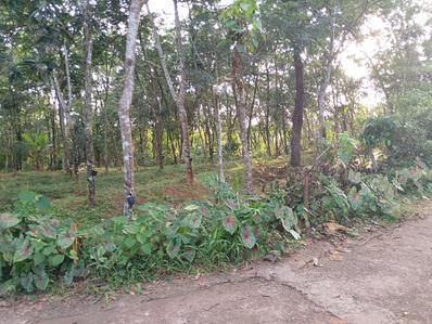 Image of 8712 Sq.ft Residential Plot / Land for sale in Kottarakkara, Kollam for Rs. 100000