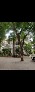 Image of 5166 Sq.ft 3 BHK Independent House for sale in Adalaj, Gandhinagar for Rs. 55000000