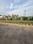 M block sector 83 Main Image 1