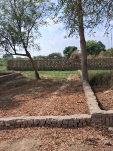 Image of 10000 Sq.ft Residential Plot / Land for sale in Jhalwa, Allahabad for Rs. 14500000