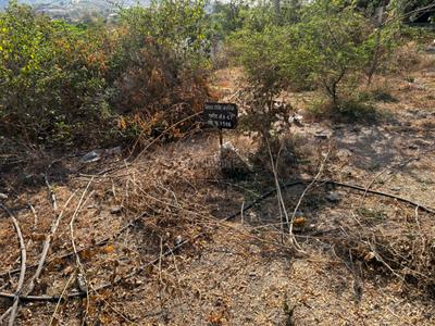 Image of 1900 Sq.ft 2.5 BHK Farm House for sale in Wadaki, Pune for Rs. 1800000
