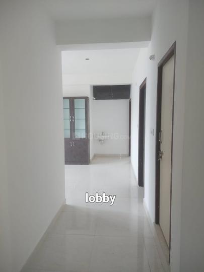 Avilala Main Image 1