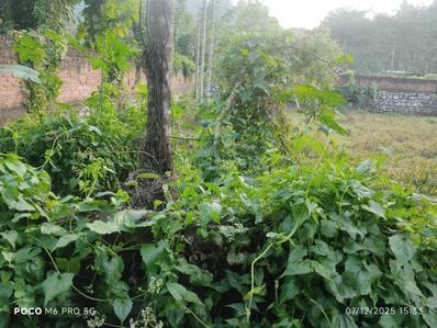 Image of 5040 Sq.ft Residential Plot / Land for sale in Lokhra, Guwahati for Rs. 10500000