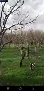Image of 15000 Sq.ft Residential Plot / Land for sale in Saidpura, Srinagar for Rs. 40000000