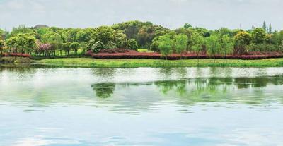 Image of 1298 Sq.ft 3 BHK Apartment / Flat for sale in Urbanrise Maheshwari The Lakes Edge, Madhavaram, Chennai for Rs. 10700000
