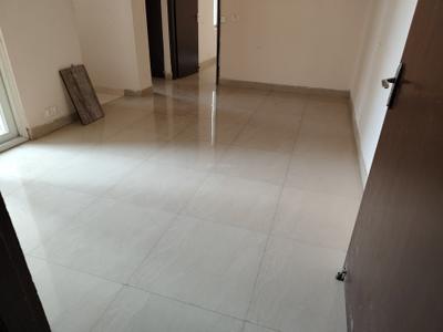 Living Room Image of 705 Sq.ft 2 BHK Apartment / Flat for rent in Amrapali Dream Valley 2, Noida Extension Greater Noida for Rs. 17000