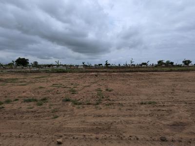 Shadnagar Plot View 2