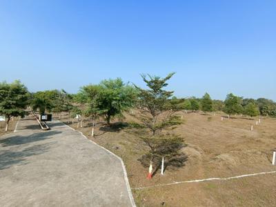 Image of 3853 Sq.ft Residential Plot / Land for sale in Neral, Thane for Rs. 3849658