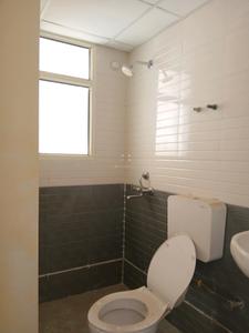 Common Bathroom Image of 700 Sq.ft 3 BHK Apartment / Flat for sale in ROF Ananda, Sector 95 Gurgaon for Rs. 7000000