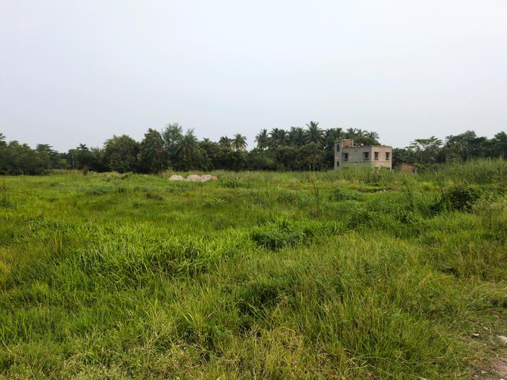 Nest Valley Main Image 1