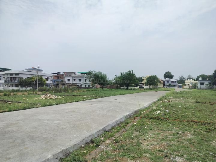 Ghangora Main Image 1