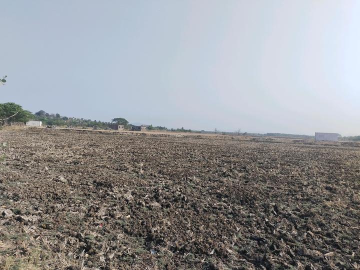 Mahamum Plots In Vasheni Main Image 1