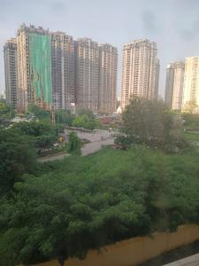 Balcony Image of 750 Sq.ft 2 BHK Apartment / Flat for rent in Jaypee Kosmos, Sector 134 Noida for Rs. 24000