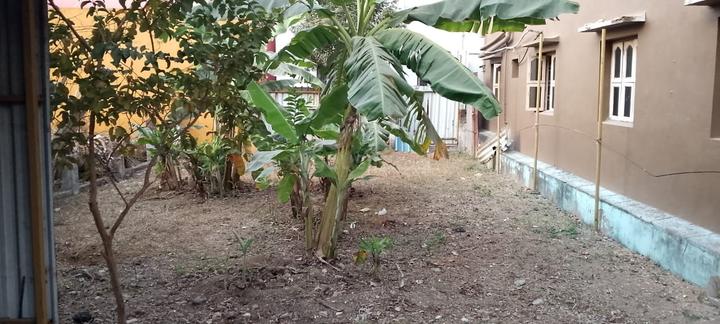 Durga Colony Main Image 1