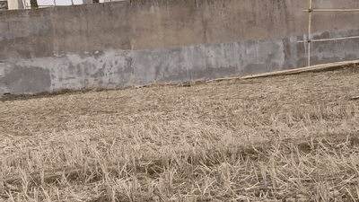 Image of 435 Sq.ft Residential Plot / Land for sale in Kathal More, Ranchi for Rs. 1500000
