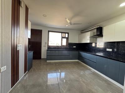 Kitchen Image of 3000 Sq.ft 4 BHK Independent House for rent in DDA Flats Vasant Kunj, Vasant Kunj New Delhi for Rs. 100000