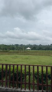 Image of 5500 Sq.ft Residential Plot / Land for sale in Bilkhiriya Kalan, Bhopal for Rs. 5200000