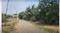 Thiruverumbur Plot View 2