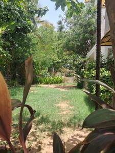 Balcony Image of 6100 Sq.ft 4 BHK Independent House for sale in Science City Ahmedabad for Rs. 62000000