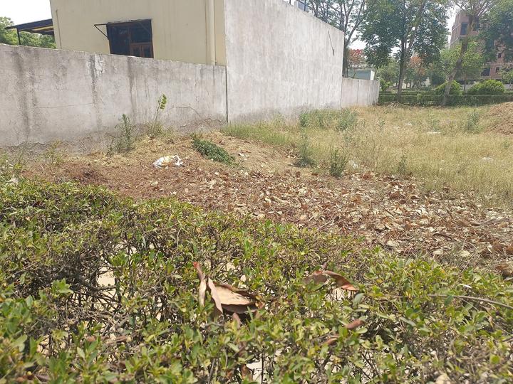 BPTP Amstoria Plots Main Image 1