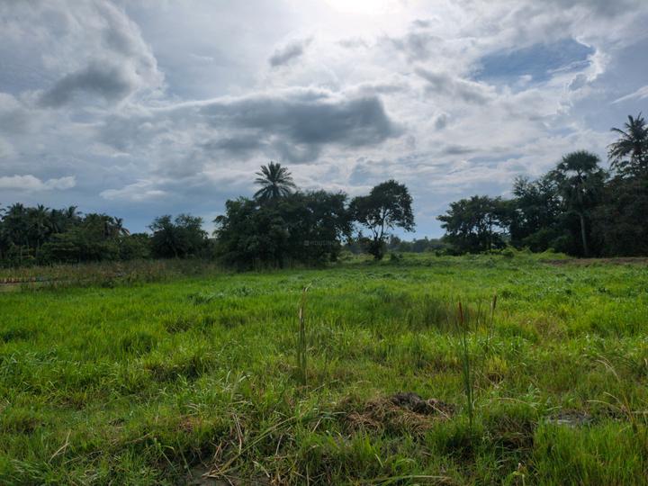 Diamond Park Main Image 1
