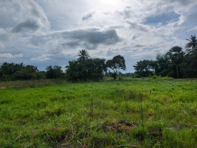 Diamond Park Plot View 1