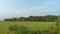 Neelbad Main Image 1