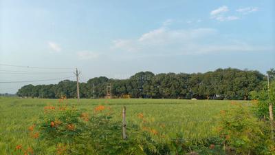 Neelbad Plot View 1