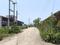 Orchid Park Plot View 2