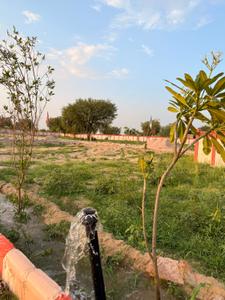 Image of 2034 Sq.ft Residential Plot / Land for sale in Jobner, Jaipur for Rs. 1151000