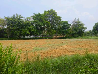 Image of 138 Sq.ft Residential Plot / Land for sale in M2K Olive Greens, Sector 104, Gurgaon for Rs. 28290000