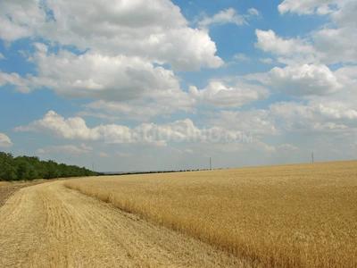 Image of 548778 Sq.ft Residential Plot / Land for sale in Visalpur, Ahmedabad for Rs. 270000000