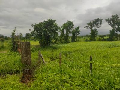 Image of 52272 Sq.ft Residential Plot / Land for sale in Murbad, Thane for Rs. 7440000