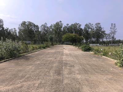 Image of 1350 Sq.ft Residential Plot / Land for sale in Hoskote, Bengaluru for Rs. 3780100