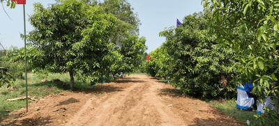 Image of 9600 Sq.ft 1 RK Farm House for rent in Aminjikarai, Chennai for Rs. 10000