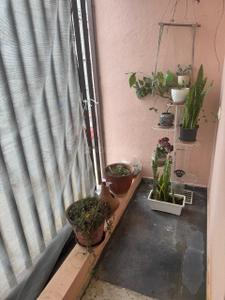 Balcony Image of 2200 Sq.ft 3 BHK Villa for rent in S.Bingipura Bengaluru for Rs. 40000