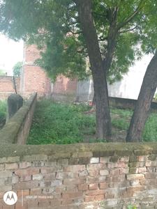 Maswanpur More Images 2